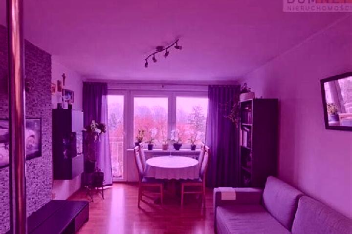 Luna, 38 — Escort in Grodzisk, Poland