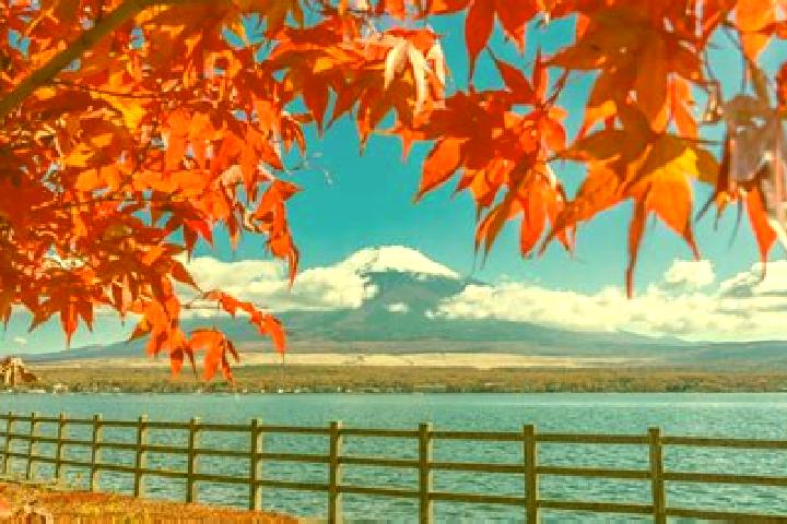 Luna, 38 — Escort in Mashike, Japan