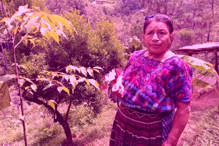 Luna, 38 — Escort in Santa Maria Chiquimula, Guatemala