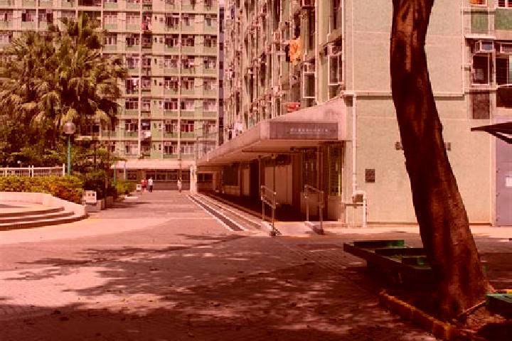 Luna, 38 — Escort in Siu Sai Wan Estate, Hong Kong
