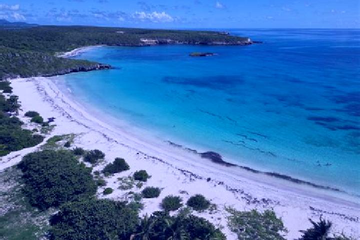Luna, 38 — Escort in Vieques, Puerto Rico