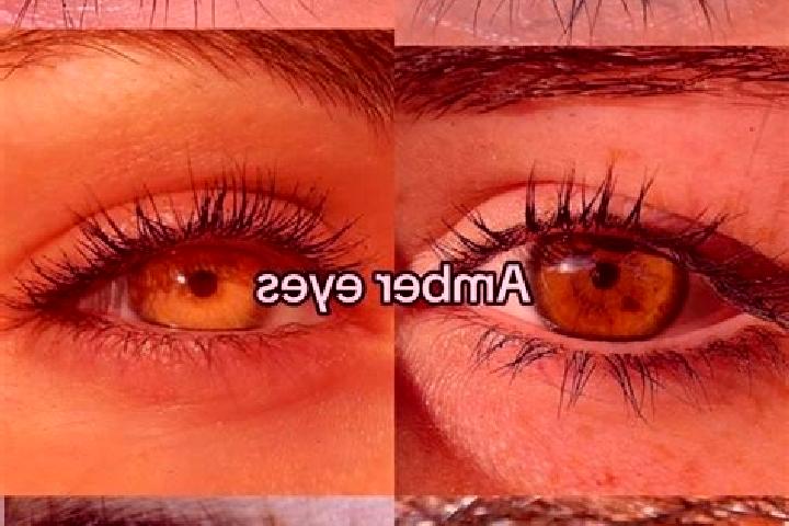 Luna, 39, a chestnut amber-eyed middle eastern companion based in Biere. Offering GFE, 69, BDSM, Roleplay. Available for incall and outcall, overnight bookin...