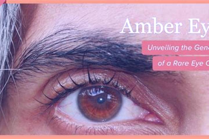 Luna, 39, a red amber-eyed mixed companion based in Cirie. Offering Party Girl, Domination, Couples. Available for incall and outcall, day and evening dates.