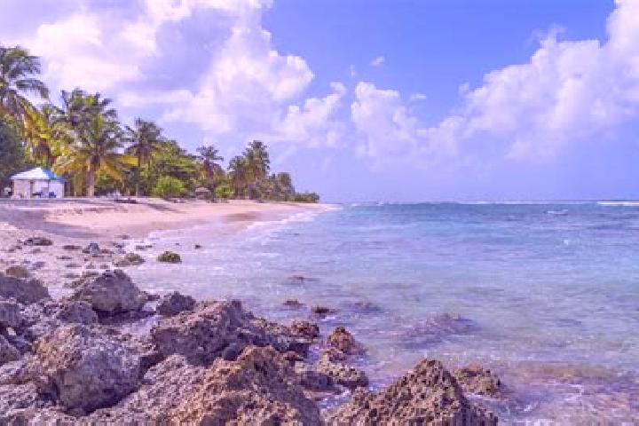 Luna, 39 — Escort in Anse-Bertrand, Guadeloupe