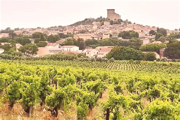 Luna, 39 — Escort in Chateauneuf-du-Pape, France
