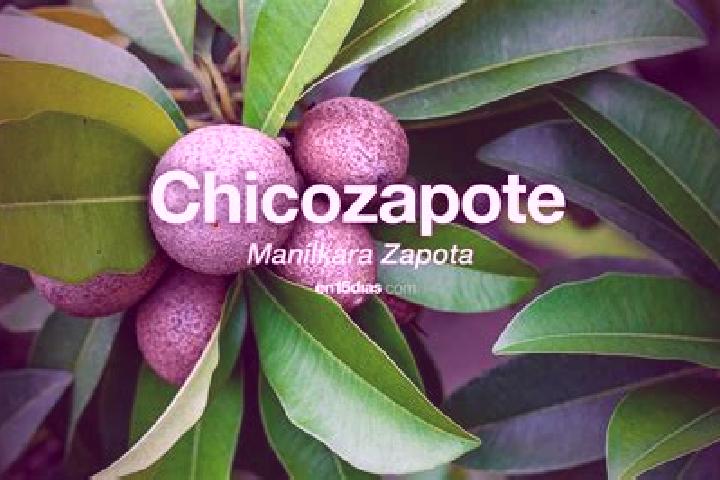 Luna, 39 — Escort in El Zapote Bravo, Mexico
