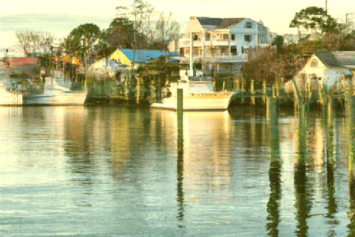 Luna, 39 — Escort in Manns Harbor, United States