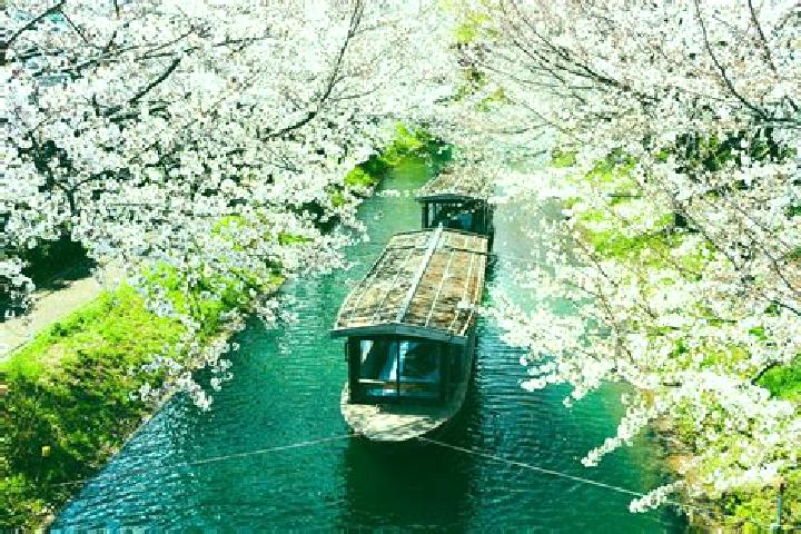 Luna, 39 — Escort in Nishiwaki, Japan
