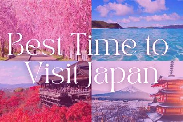 Luna, 39 — Escort in Ozato, Japan