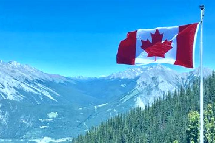Luna, 39 — Escort in Saumarez, Canada