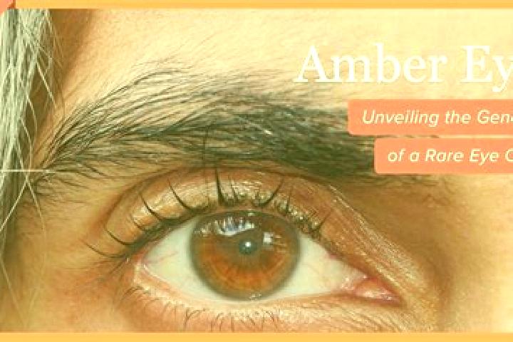 Madison, 20, a red amber-eyed mixed companion based in Oyama. Offering Domination, Party Girl, Travel Companion, OWO. Available for incall and outcall, day a...