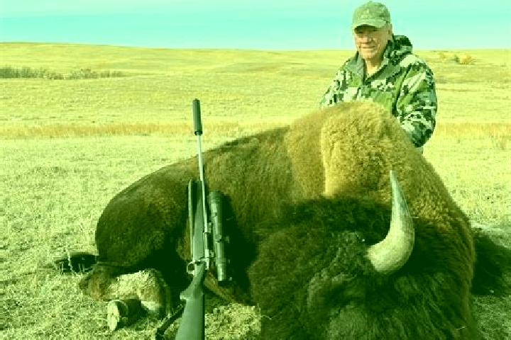 Madison, 20 — Escort in Bison, United States
