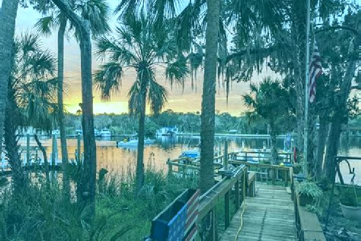 Madison, 20 — Escort in Homosassa, United States