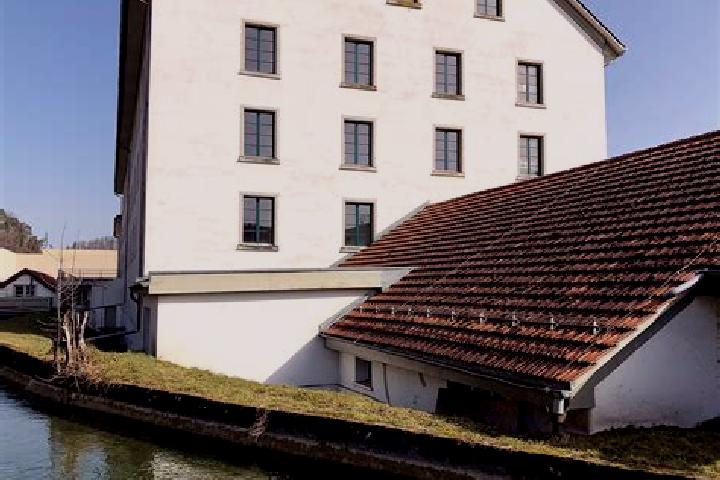 Madison, 20 — Escort in Kollbrunn / Kollbrunn (Dorfkern), Switzerland