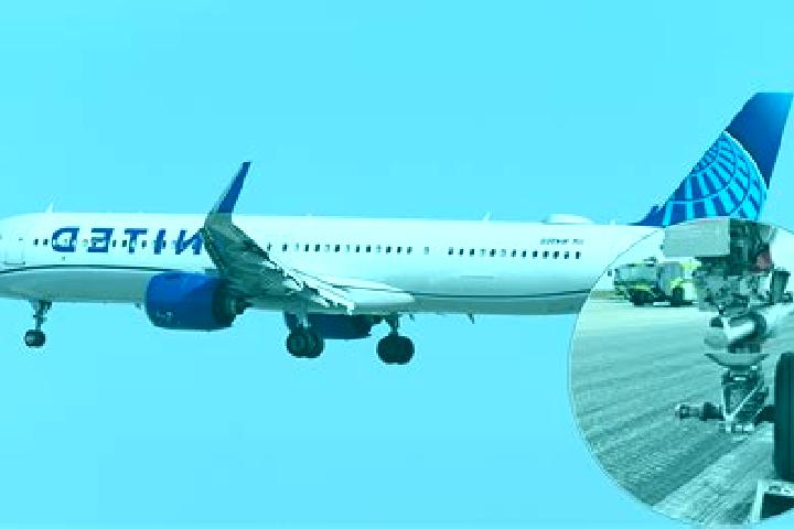 Madison, 20 — Escort in Landing, United States