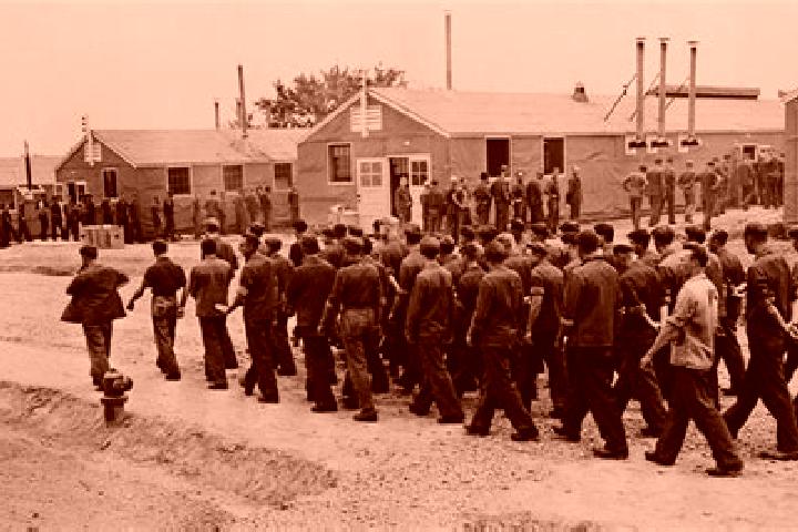 Madison, 20 — Escort in Linnell Camp, United States
