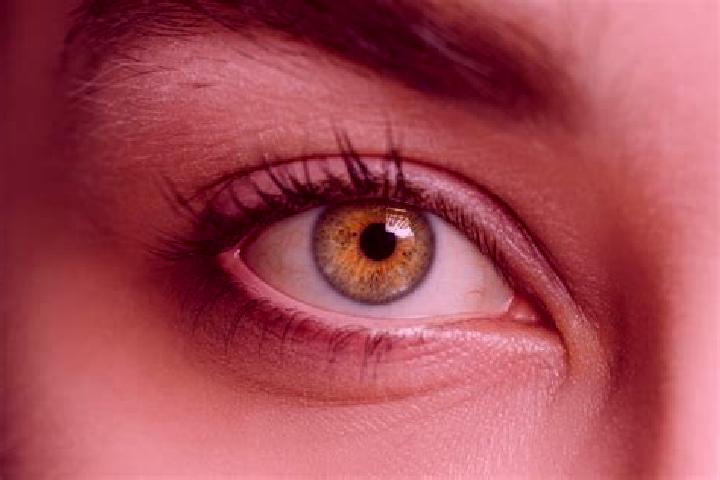 Madison, 21, a auburn hazel-eyed mixed companion based in Gorcy. Offering Travel Companion, CIM, Prostate Massage. Available for incall and outcall, overnigh...