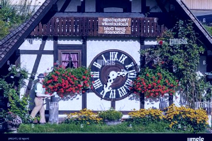 Madison, 21 — Escort in Herdwangen-Schonach, Germany