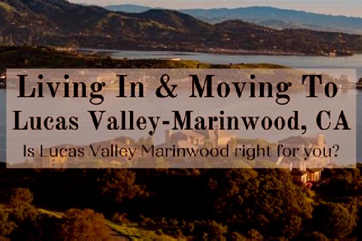 Madison, 21 — Escort in Lucas Valley-Marinwood, United States