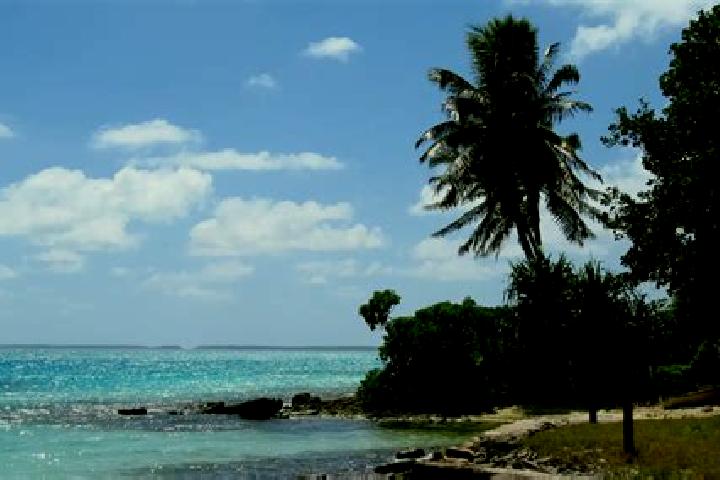 Madison, 21 — Escort in Makin Village, Kiribati