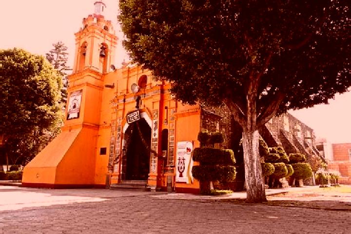 Madison, 21 — Escort in San Francisco Totoltepec, Mexico