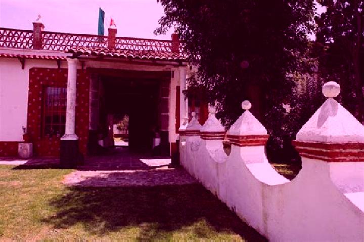 Madison, 21 — Escort in San Juan Hueyapan, Mexico