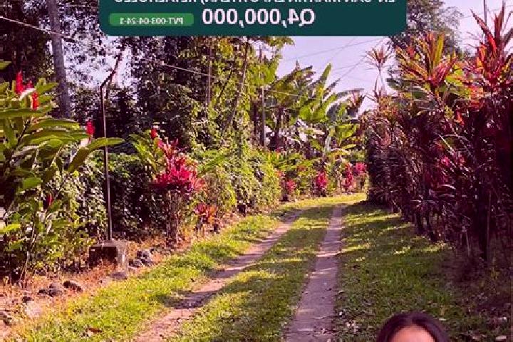 Madison, 21 — Escort in San Martin Zapotitlan, Guatemala