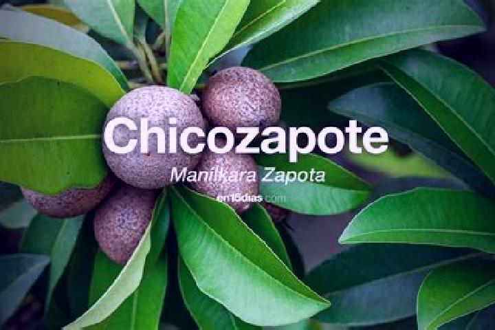Madison, 21 — Escort in Santa Maria del Zapote, Mexico
