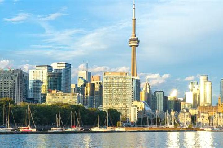 Madison, 21 — Escort in Toronto, Australia