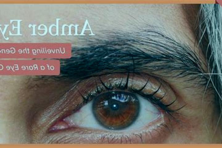 Madison, 22, a black amber-eyed caucasian companion based in Rau de Mori. Offering Duos, A-Level, 69, Dinner Date, Tantra. Available for incall and outcall, ...