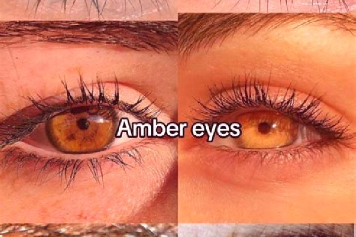 Madison, 22, a brunette amber-eyed mixed companion based in Darayim. Offering Fetish, GFE, Striptease, Roleplay. Available for incall and outcall, day and ev...