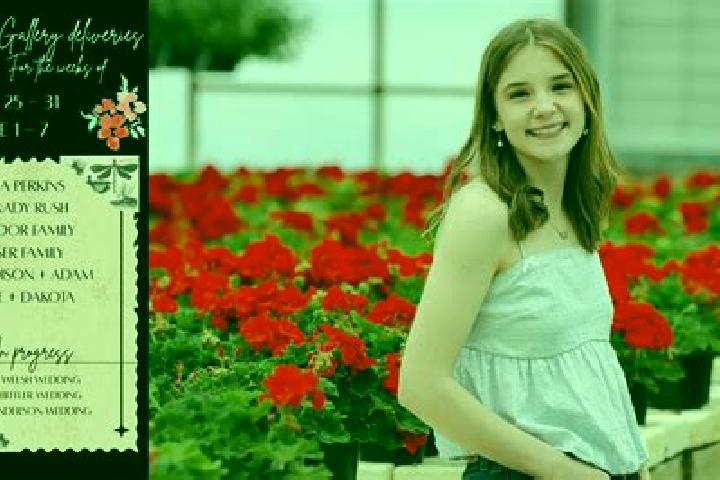 Madison, 22 — Escort in Ider, United States