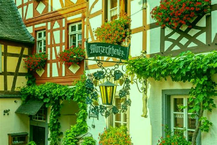 Madison, 22 — Escort in Munsterdorf, Germany