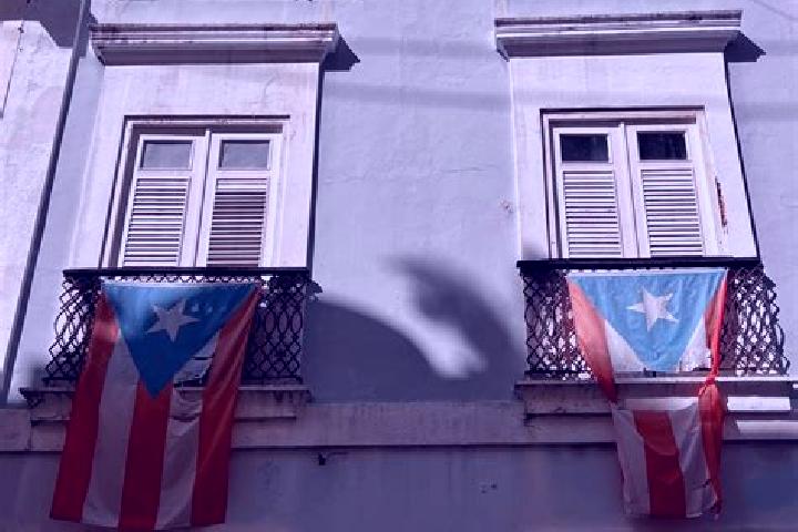 Madison, 22 — Escort in Puerto Real, Puerto Rico