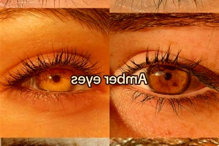Madison, 23, a chestnut amber-eyed caucasian companion based in Urzuf. Offering Duos, Travel Companion, Fetish, Domination. Available for incall and outcall,...