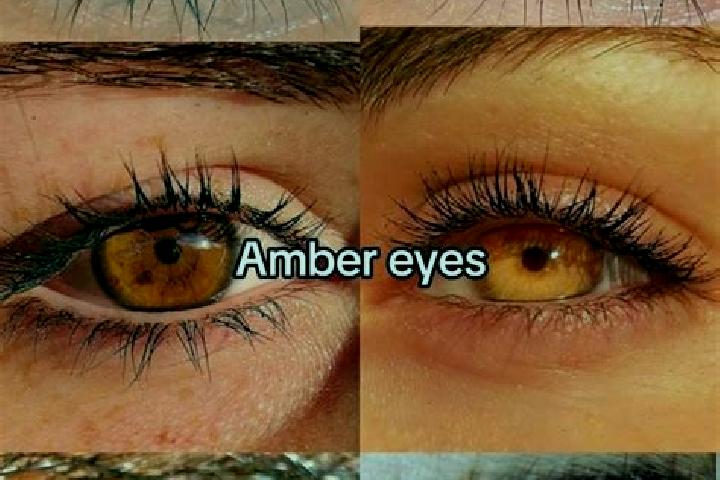 Madison, 23, a chestnut amber-eyed european companion based in Pierrefonds-Roxboro. Offering Erotic Massage, Deep French Kissing, Travel Companion, 69. Avail...
