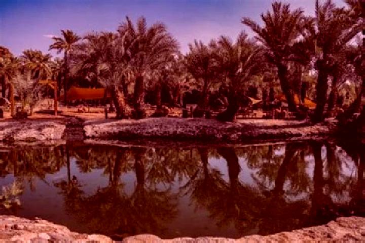 Madison, 23 — Escort in Al-Kharijah, Egypt