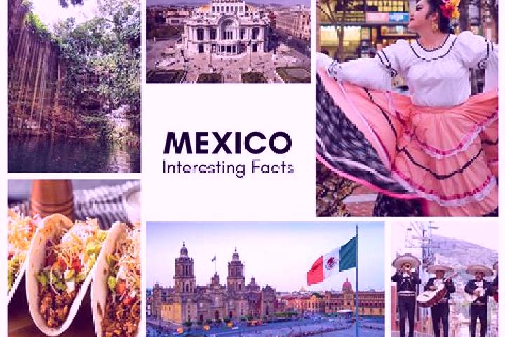 Madison, 23 — Escort in Chiquinivalvo, Mexico