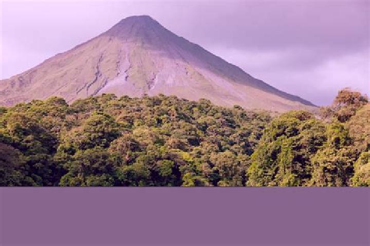Madison, 23 — Escort in Concepcion, Costa Rica