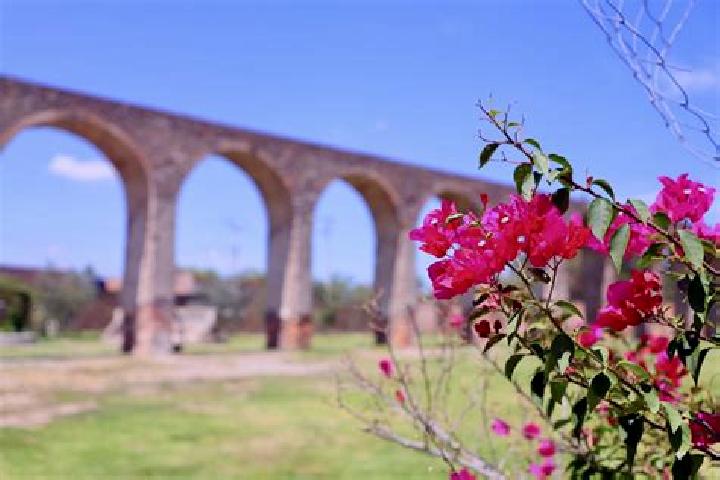 Madison, 23 — Escort in El Saucillo de Primavera, Mexico