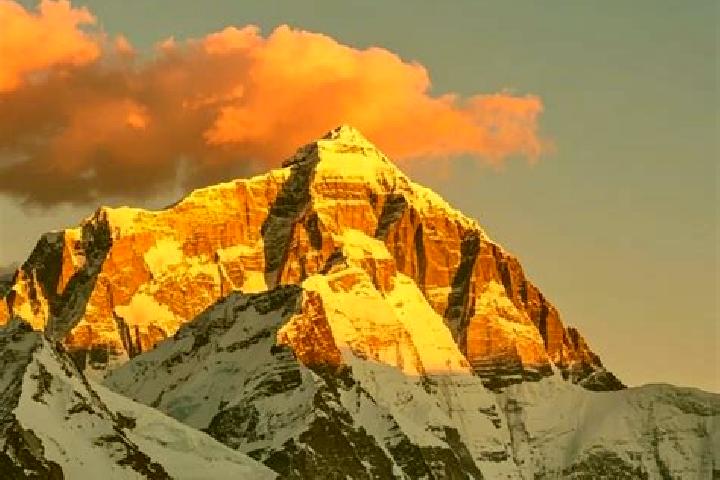 Madison, 23 — Escort in Monte de Pena, Mexico