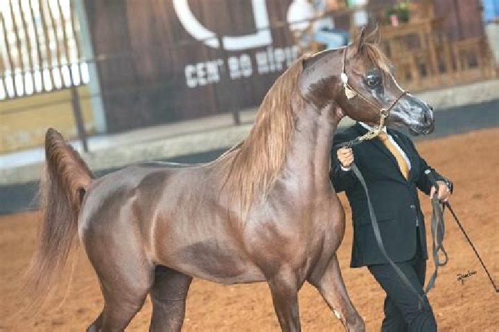 Madison, 23 — Escort in Riacho dos Cavalos, Brazil