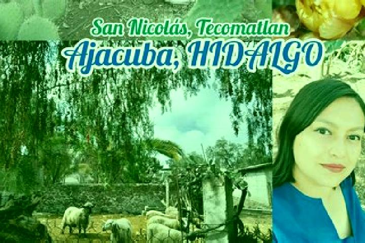 Madison, 23 — Escort in San Nicolas Tecomatlan, Mexico