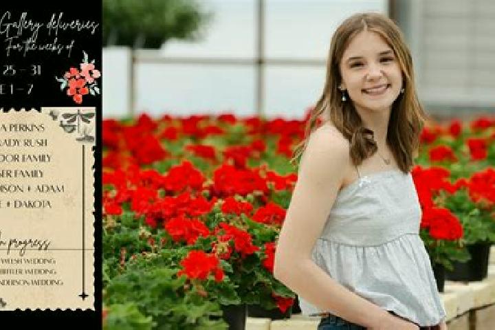 Madison, 23 — Escort in Vineuil, France