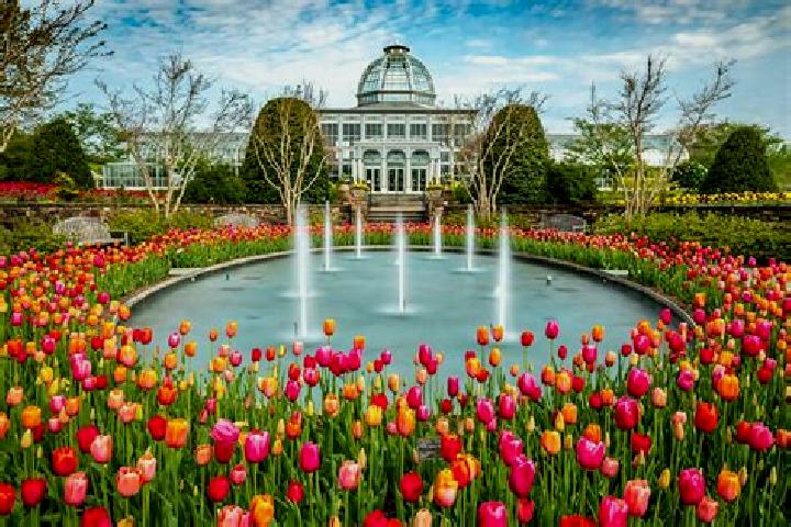 Madison, 23 — Escort in Winter Gardens, United States