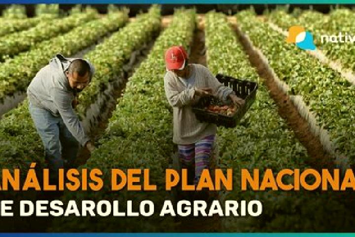 Madison, 24 — Escort in Ejido Plan Nacional Agrario, Mexico