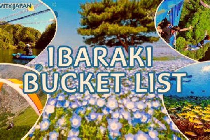 Madison, 24 — Escort in Ibaraki, Japan