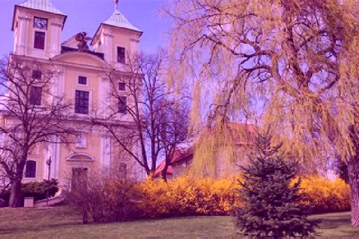 Madison, 24 — Escort in Litvinov, Czech Republic