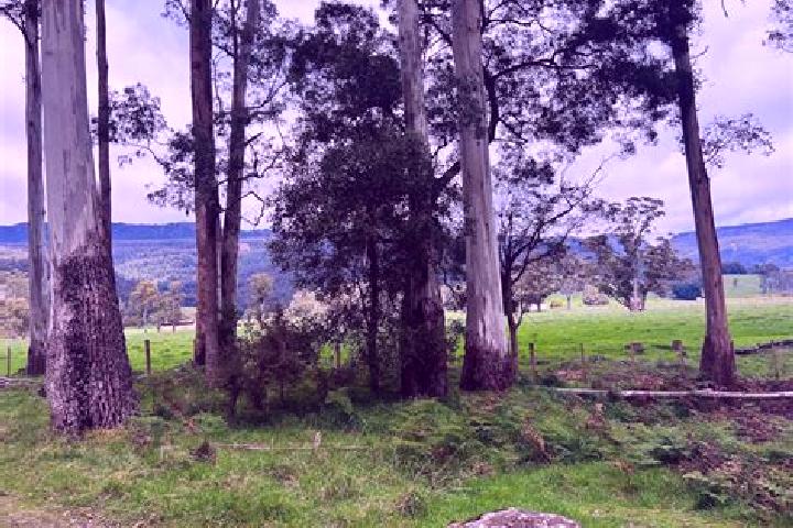 Madison, 24 — Escort in Mole Creek, Australia