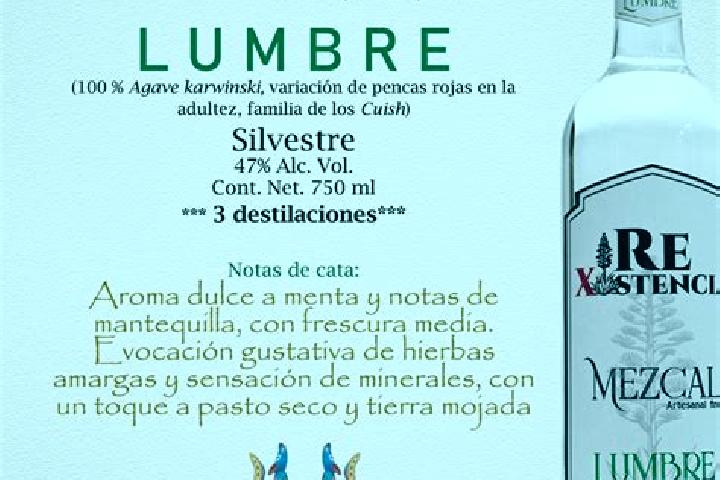 Madison, 24 — Escort in Piedras de Lumbre, Mexico
